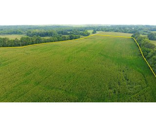 TRACT 51 - ILLINOIS LAND AUCTION - 4,810+/- ACRES OFFERED IN 85 TRACTS IN FRANKLIN, WILLIAMSON, HAMILTON & SALINE COUNTIES, ILLINOIS